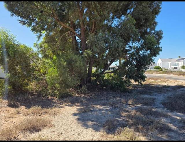 3 BEDROOM HOUSE FOR SALE IN SHELLEY POINT